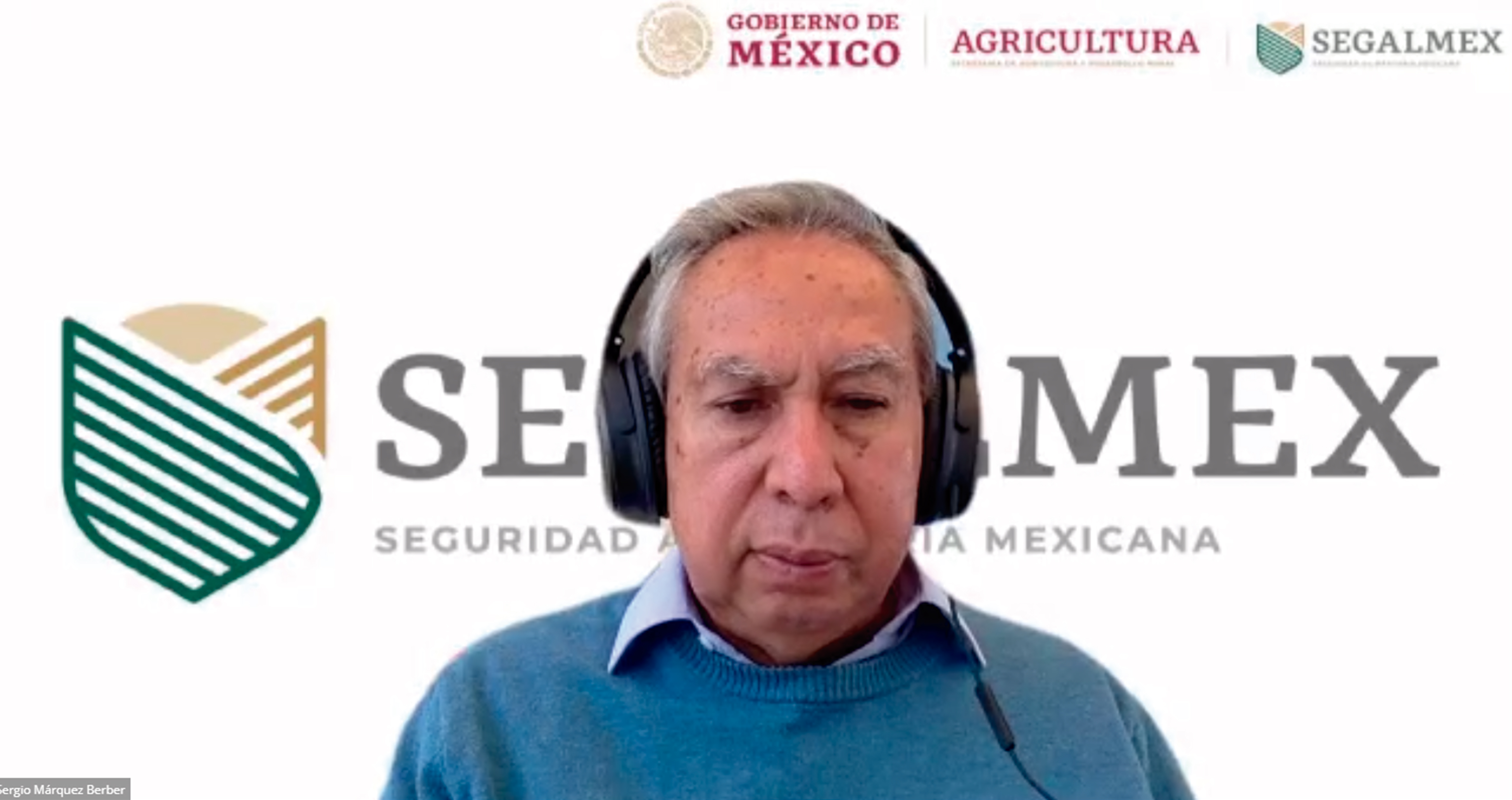 Gerente de Estudios y Proyectos en SEGALMEX