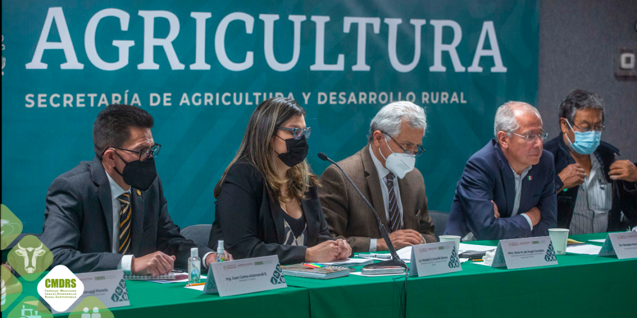 Quinta Sesión Ordinaria 2022