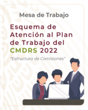 Mesa de Trabajo Estructura de Comisiones